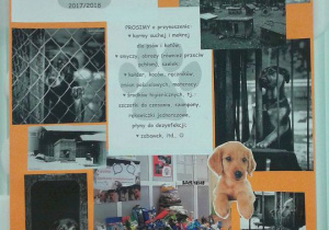 Plakat zbiórki informujący o rozpoczęciu akcji i o potrzebach schroniska.
