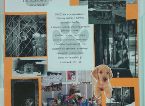 Zbiórka darów na rzecz Bezdomnych Zwierząt ze Schronisk w Celestynowie i w Józefowie