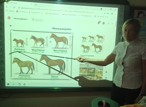 Jeździectwo, moje hobby