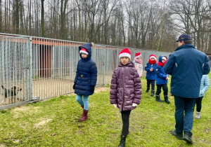 Uczniowie podczas spaceru po terenie schroniska.