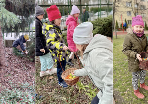 Uczniowie szukają jajek wielkanocnych w ogrodzie szkolnym.