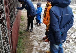 Uczniowie z nauczycielką świetlicy na terenie schroniska podczas zwiedzania.