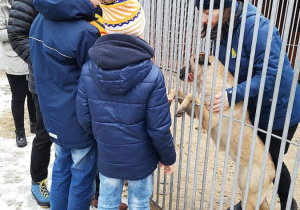 Uczniowie z nauczycielką na terenie schroniska podczas zwiedzania. Nauczycielka jest z psem w kojcu dla zwierząt.