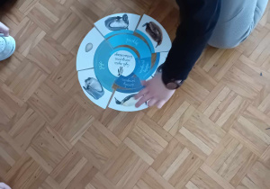 Dzieci poznały cykl życia pingwina.