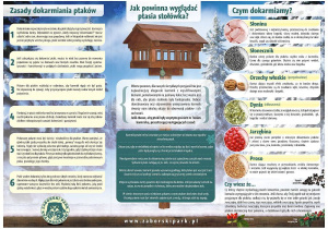 Plakat "Jak powinna wyglądać ptasia stołówka", czyli pogadanka o zasadach dokarmiania ptaków.