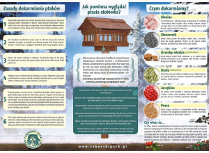 Ptaki zimą