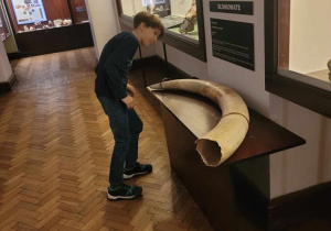 Julek z ogromnym zaciekawieniem przygląda się jednemu z eksponatów.