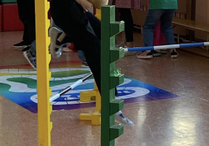 Uczennica wykonuje skok przez przeszkodę.