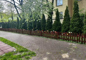 Ogródek kwiatowy z perspektywy ogrodu szkolnego.