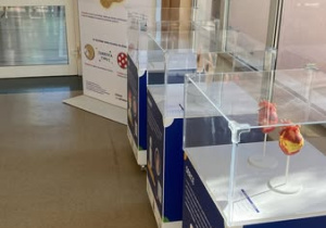 Plakat informujący o tematyce wystawy i gabloty stoją na łączniku prowadzącym do sali gimnastycznej.