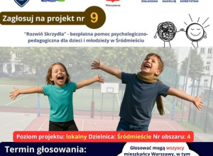 Budżet Obywatelski - Projekt nr 9