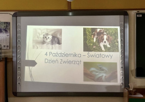 4 października - Światowy Dzień Zwierząt.