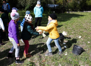Festiwal kapusty w siedlisku Leluja