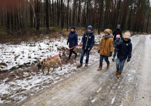 Uczniowie podczas spaceru z psem w lesie.