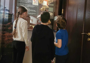 Uczniowie oglądają czaszki w wiszącej gablocie ze szkła.