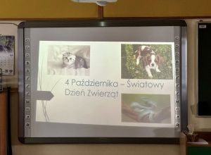 Światowy Dzień Zwierząt