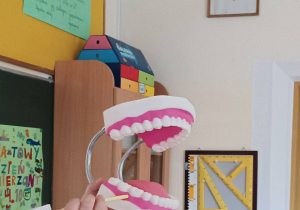 Pani prowadząca zajęcia pokazuje dzieciom model szczęki.