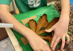 Uczniowie przyklejają liście, jako korony drzew.