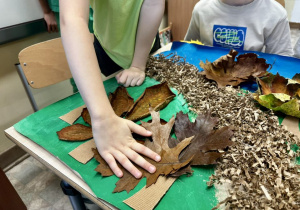 Uczniowie przyklejają liście, jako korony drzew.