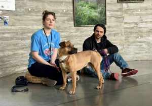 Wolontariusze i pies Elmo rozpoczynają spotkanie.