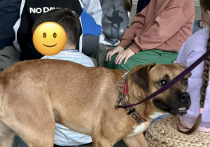 Elmo poznaje bliżej dzieci.