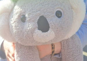Miś Koala.