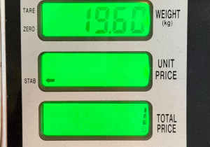Wyświetlacz wagi pokazuje 19,60 kilogramów.